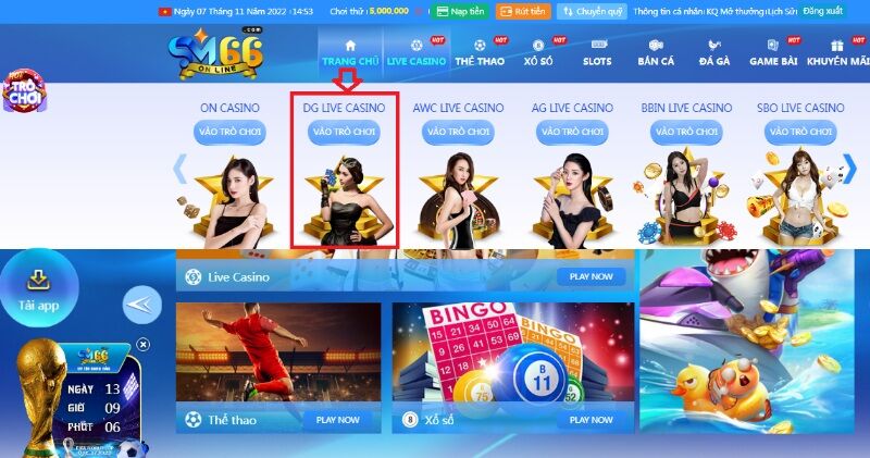 Một số câu hỏi thường gặp khi chơi tại DG Casino